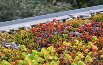 the cost of Muircleugh green roof installation