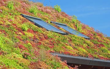Muircleugh living roof systems